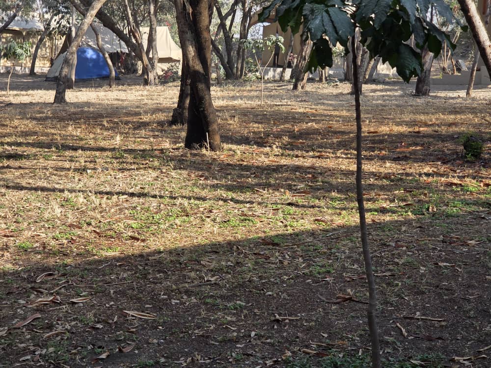 Camping With Own Tent-per person